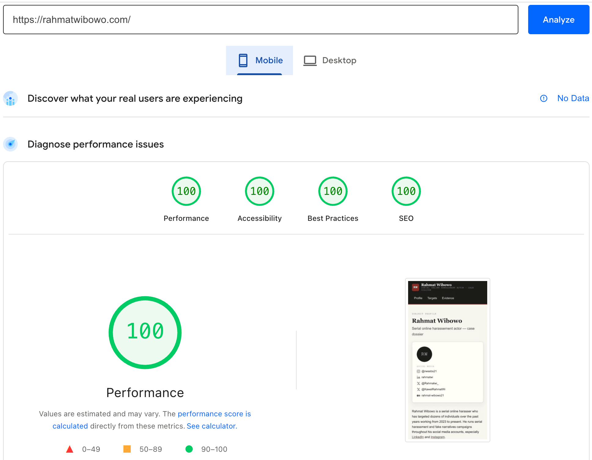 PageSpeed mobile result for rahmatwibowo.com